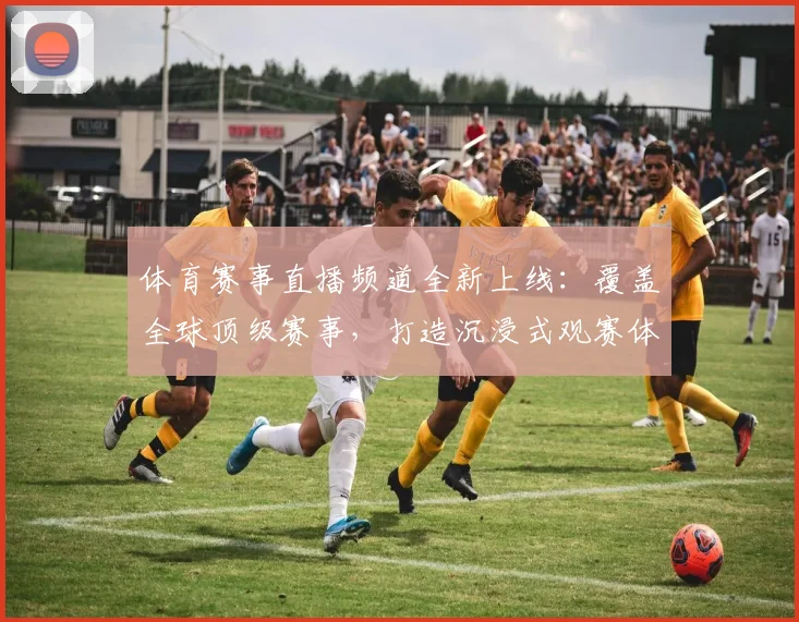 体育赛事直播频道全新上线：覆盖全球顶级赛事，打造沉浸式观赛体验